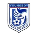 Dalian Yingbo B crest