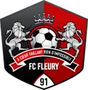 Fleury 91 crest