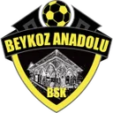 Tuzlaspor crest