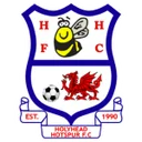 Holyhead Hotspur crest
