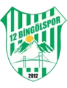 12 Bingölspor crest