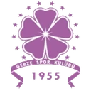 Güzide Gebzespor crest