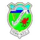 Pontardawe Town crest